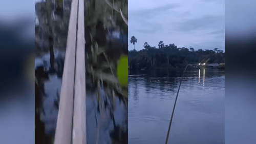 Você se garante?: Ribeirinho mostra o desafio para atravessar ponte ‘artesanal’ na Amazônia
