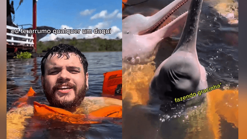 ‘Oi, casada’: Meme viral ganha versão amazônica e até o boto entra na brincadeira