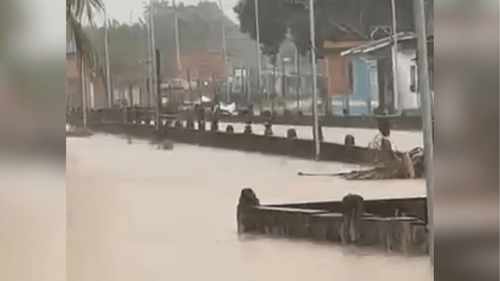 Muita água: Canal transborda e rua vira rio, em Santana; chuvas devem continuar