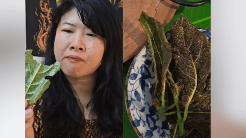 Tendência no Oriente: Tailandesa testa folha de jaca frita e diz que sabor é até melhor que alga
