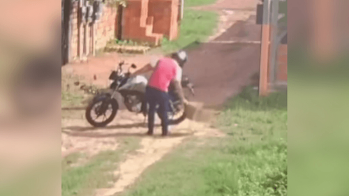 Macapá: Homem é flagrado ao abandonar filhotes de gatos no Goiabal