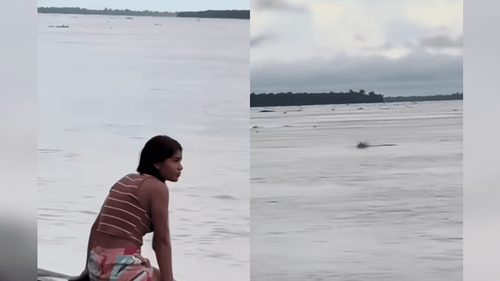 Encantadora misteriosa?: Mulher assobia e botos aparecem no rio. Como ela faz isso?