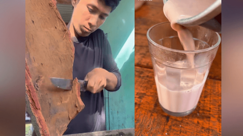Você conhece?: Ribeirinho transforma casca de jatobá em ‘nescau raiz’