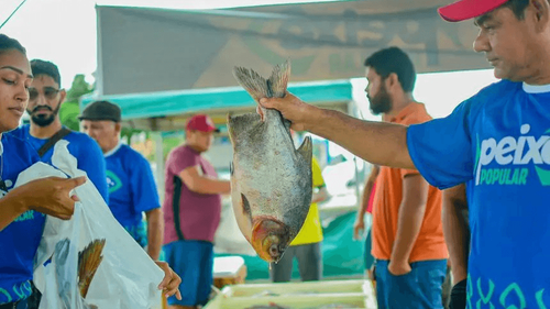 Semana Santa: Peixe Popular tem preços a partir de R$ 11 em 7 municípios; veja pontos de venda