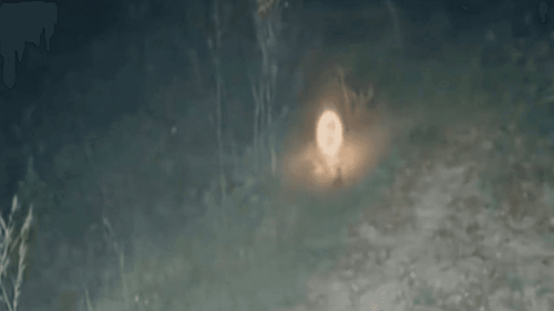 Luzes misteriosas: Fogo-fátuo é flagrado em área rural. Visage… ou a ciência explica?