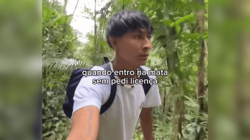 A floresta escuta: Entrar na mata sem pedir licença pode ser perigoso! Entenda o motivo