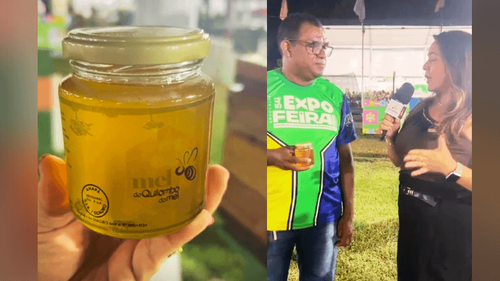 Mel que vale ouro: Conheça o produto que está mudando a vida de uma comunidade do Amapá