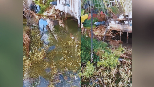 De dia: Jovem é morto na frente da namorada, em Macapá