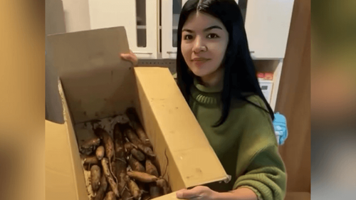 Chibé no Oriente?: Nortista no Japão prepara delícias amazônicas para lidar com a saudade