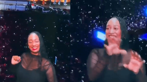 Arrasou: Intérprete de Libras encanta com tradução cheia de gingado do show de Anitta, no AP