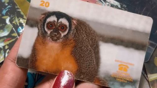 Você recorda?: Influenciadora lembra época dos cartões telefônicos colecionáveis