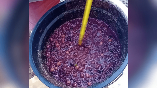 Agora a NASA vem: Nortista usa equipamento ‘diferentão’ para bater açaí. Veja o resultado! 