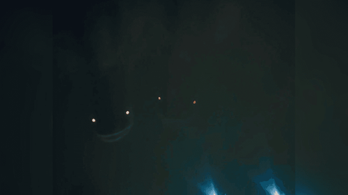 Assustador: ’Olhos famintos’ dos pirarucus roubam a cena em noite de pesca