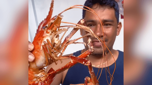 Porrudo: Pescador fisga ‘monstro da água doce’ e faz almoço de dar inveja