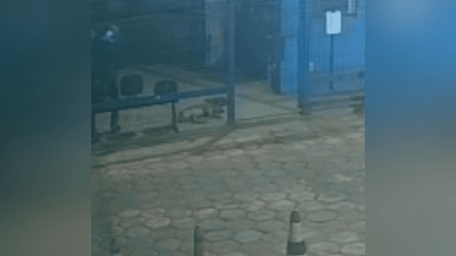 Visagem?: Vigilante revista 'fantasma'. De arrepiar!