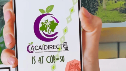 É do Amapá: Plataforma que conecta produtor de açaí a comprador é apresentada na COP