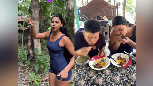 Tradição ou polêmica?: Influencer mostra preparo de mucura com açaí e divide opiniões nas redes