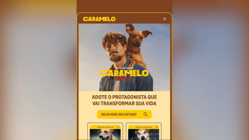 Amor animal: ONG do AP é selecionada para campanha de adoção da Netflix