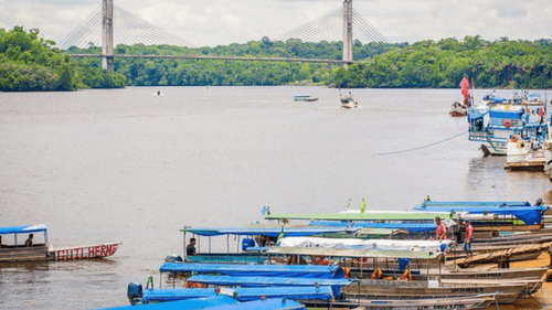 Oiapoque: Amapá confirma caso de raiva humana; vítima está internada