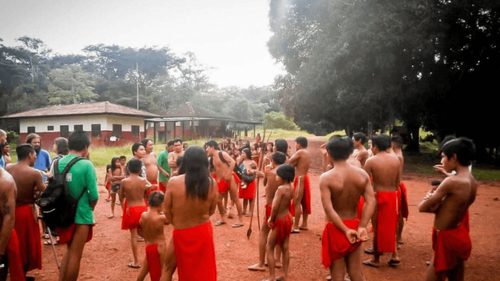 Últimas notícias: Polícia investiga possível homicídio de mulher indígena em aldeia de Pedra Branca