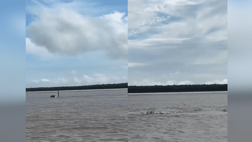 Mistério: Ser gigante é visto no rio. É você, cobra Sofia?