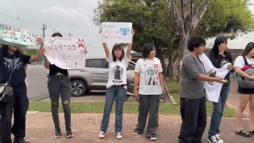 'Toda vida importa!': Amapaenses cobram justiça para o cãozinho Orelha