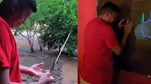 Cupim voador: Você conhece o verdadeiro termômetro do inverno amazônico?