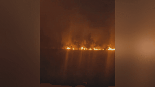 Macapá: Incêndio atinge área de mata no Curiaú