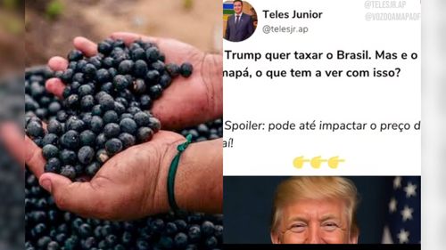 Açaí mais Barato?: Entenda como o ‘tarifaço de Trump’ pode afetar a economia do Amapá