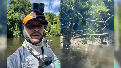 Será a Cobra Sofia?: Pescador flagra serpente gigante ‘tomando sol’ no Amapá