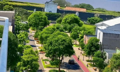 Sombra Já!: Veja como seriam as ruas de Macapá com mais árvores e qualidade de vida