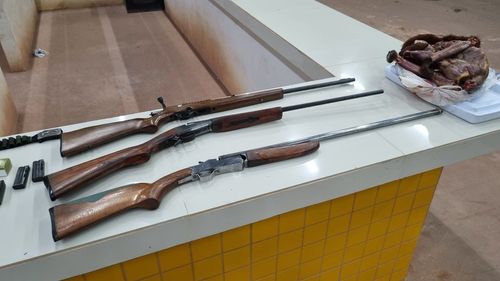 Macapá: Tatu é resgatado. Na estrada, macaco embalado, armas e caçadores são alvo de PRF