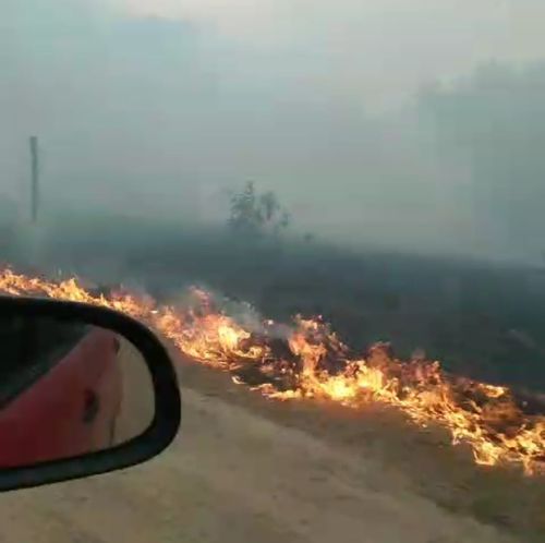 Incêndio na Lagoa dos Índios: chamas se aproximam de casas e assustam moradores