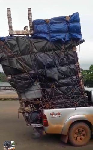 Oiapoque: Picape empilhava animais e cilindro de gás em carga de 3 metros