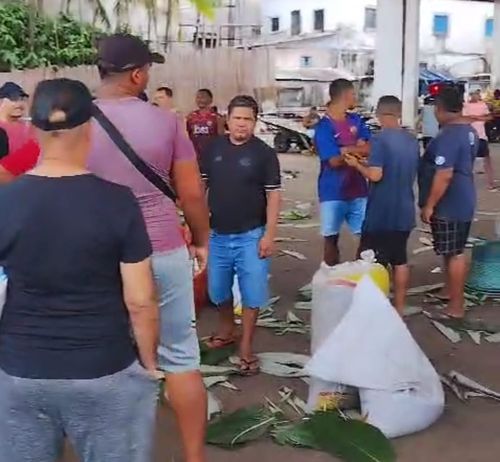 Saca de açaí a mil reais indigna batedores em Belém