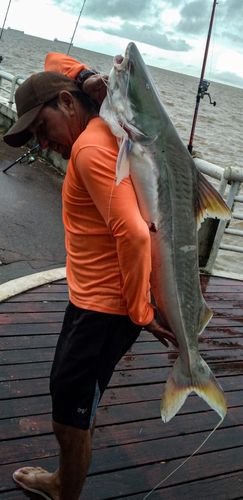 Peixão cai no anzol de sortudo na orla de Macapá 