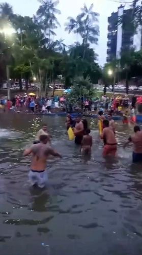 Macapá: homens fazem 'arrastão' com redes de pesca na Floriadno