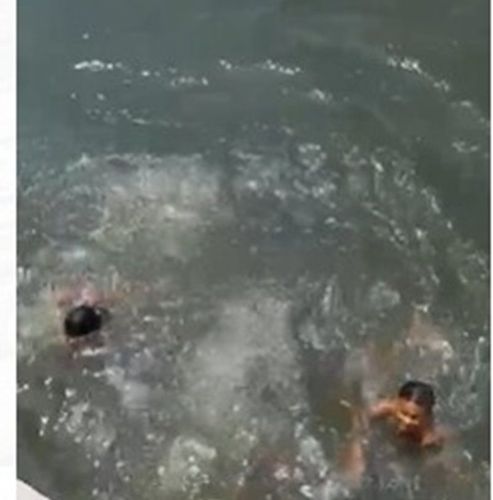 Pula, Bolinha! Bebê se joga em rio durante brincadeira com crianças