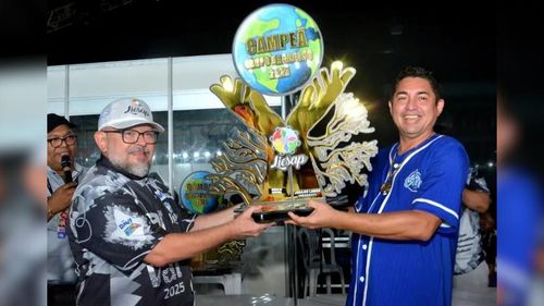Carnaval 2025: Unidos do Buritizal é a grande campeã do Grupo de Acesso