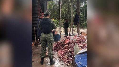 Comida de Pet? Fábrica que vendia ossos para ração é interditada e gera alerta para donos de animais