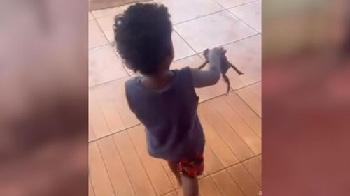 Que fofo! Sem medo, Garotinho retira sapo de casa e diverte a internet