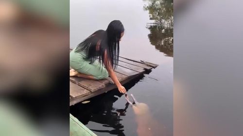 Bença, pai! Jovem usa peixinho para atrair boto em rio da Amazônia