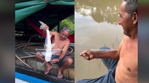 Égua da fartura! Pescadores da Amazônia voltam pra casa 'tei tei' de peixe 