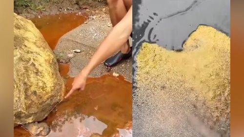 Riqueza na cara? Sabe a gosminha do igarapé? Pode ser ouro!