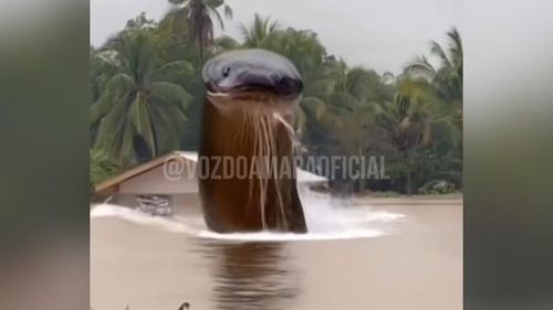 Inteligência artificial: Já pensou como seria a cobra Sofia? 