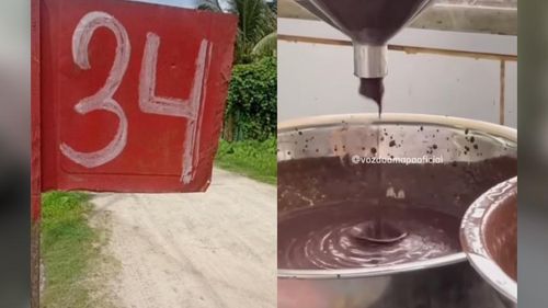 Petróleo do Amapá: Cotação do litro do açaí dispara e chega a R$ 34,00 