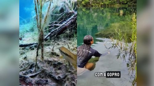 Vida na Lagoa Azul: Casal flagra peixes em paraíso natural de Serra do Navio, no AP