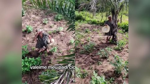 Mas o que é isso? Vovó Joaninha se assusta com drone e arranca risadas com reação