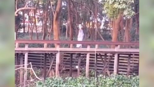 Lenda urbana? Homem flagra 'noiva fantasma' na orla de Macapá