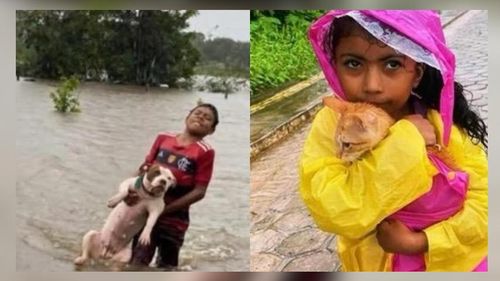 Solidariedade sem idade: Crianças ajudam resgatar animais da enchente em Tartarugalzinho 